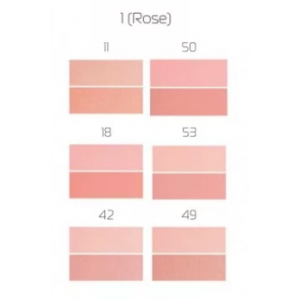 В-712 №1 (Rose) (11,50,18,53,42,49) Румяна компактные с кистью 2 тона (*12)